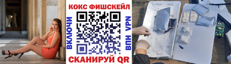 КОКАИН Fish Scale  Купить закладки  Медногорск 