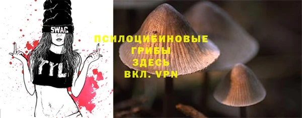 шишки Навашино