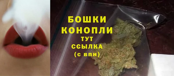 шишки Михайловка