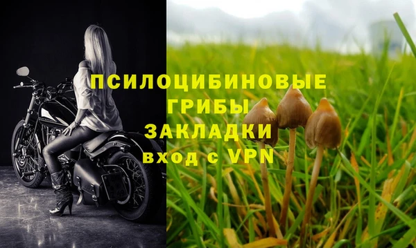 бошки Михайлов