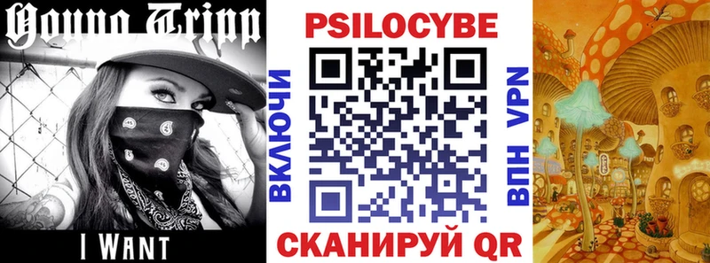 Купить  Медногорск  Псилоцибиновые грибы Magic Shrooms 